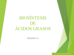 biosíntesis de los ácidos grasos