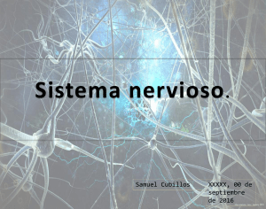 sistema nervioso periférico