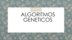 ALGORITMOS GENETICOS