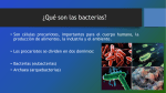 bacterias ppt