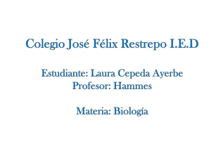 Colegio José Félix Restrepo I.E.D Estudiante: Laura Cepeda Ayerbe