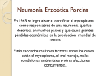 Neumonía Enzoótica Porcina