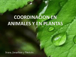 COORDINACIÓN EN ANIMALES Y PLANTAS