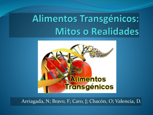 Alimentos Transgénicos - transgenicosmitosyrealidades