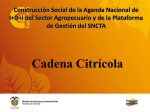 004 - D.C. - Construccion Social Agenda Nacional I+D+I