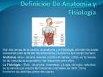 Definición De Anatomía y Fisiología