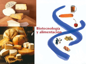 Biotecnología tradicional (alimentaria)