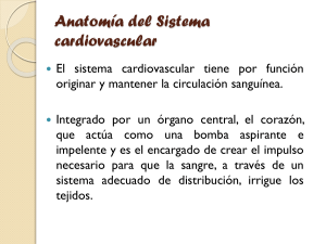 Fisiologia. Sistema Cardiovarcular 1