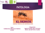 Presentación de PowerPoint - Dengue-F1 -2014-II
