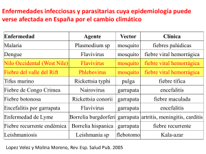 Diapositiva 1