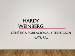 Hardy Weiberg - WordPress.com