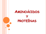 Aminoácidos y proteínas