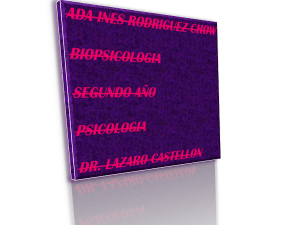 Diapositiva 1 - biosicologia2011