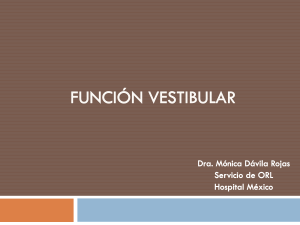 función vestibular - medicina