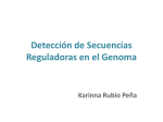 Deteccion de secuencias reguladoras en el Genoma