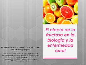 Fructosa y enfermedad renal