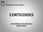 clase 6 corticoides