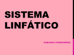 Sistema Linfático