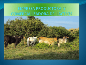 empresa sector lacteo
