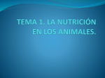 tema 1. la nutrición en los animales.