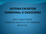 sistema excretor hormonal o endocrino