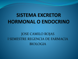 sistema excretor hormonal o endocrino