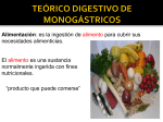 TEÓRICO DIGESTIVO DE MONOGÁSTRICOS