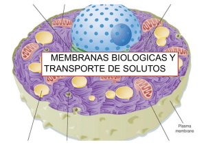 Proteínas de la membrana
