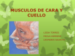 MUSCULOS DE CARA Y CUELLO