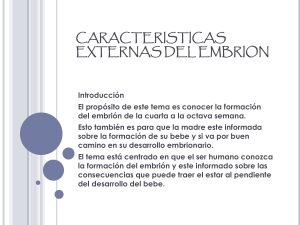 CARACTERISTICAS EXTERNAS DEL EMBRION