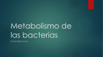 Metabolismo de las bacterias