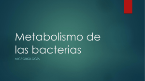 Metabolismo de las bacterias