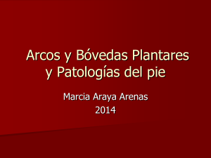 5Arcos,_Bovedas_Planteres_y_Patologias_del_pie_2017