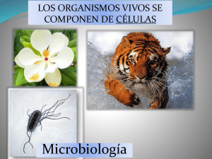 GENERALIDADES MICROBIOLOGÍA 16