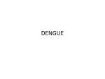 dengue - Webnode