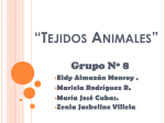 Tejidos Animales - biologialasalle4-2