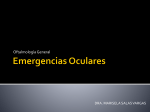 Emergencias Oculares - 7mo Semestre UCIMED II-2012