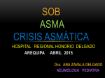 SOBA, Asma y Crisis Asmática - Red de Salud Arequipa Caylloma