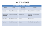 ACTIVIDADES