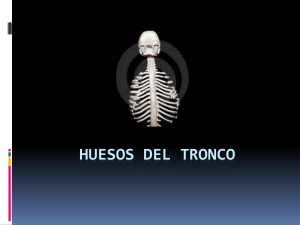 huesos del tronco - Biblioteca UCAN Estelí