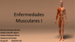presentacion L02 muscular oficial
