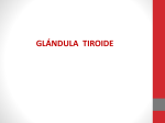 Tiroides File