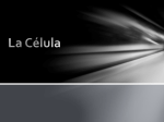 La Célula - WordPress.com