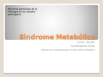 Síndrome Metabólico File