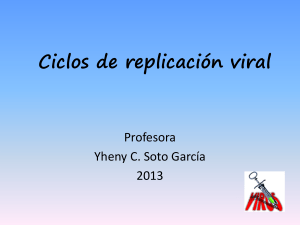 Ciclos de Replicación Viral Ciclo lítico