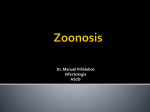 Zoonosis - medicina