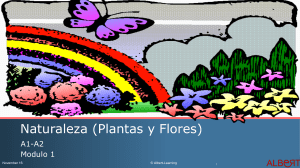 Naturaleza (Plantas y Flores) - Albert