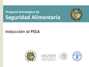 Promoción de la Educación Nutricional como plataforma para la