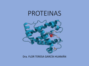proteinas - Flor García Huamán