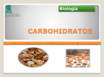 Carbohidratos - Repositorio CB
